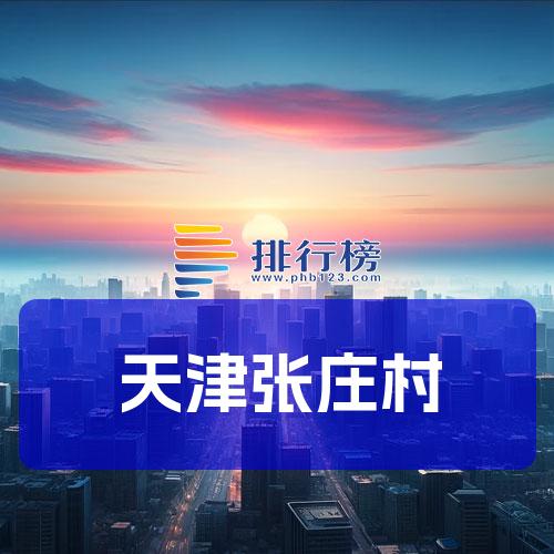 天津张庄村